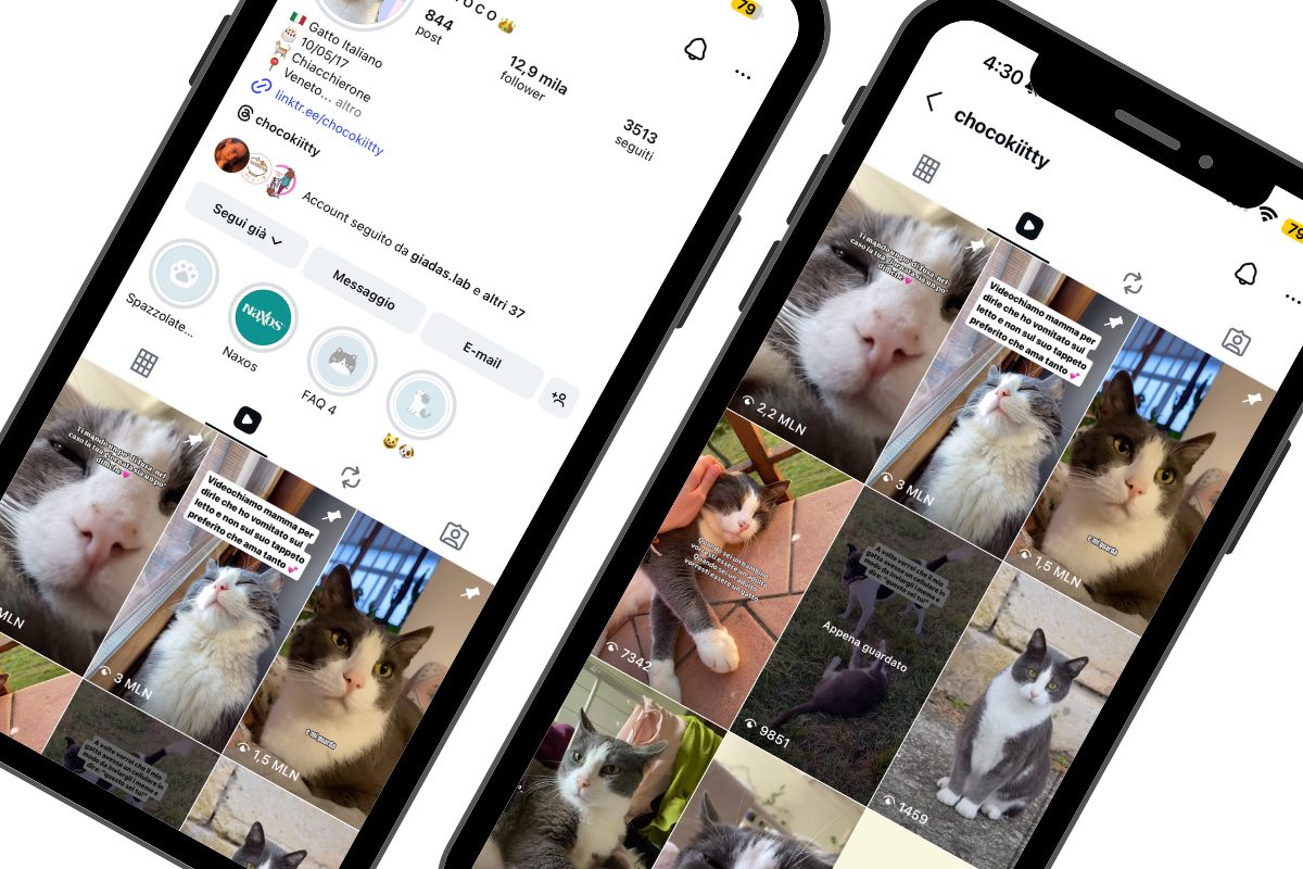 Profilo Instagram e reel di @chocokiitty