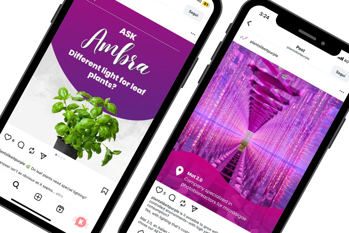 Post «Ask Ambra» e post su Mat 2.0 di @plantslikeitpurple